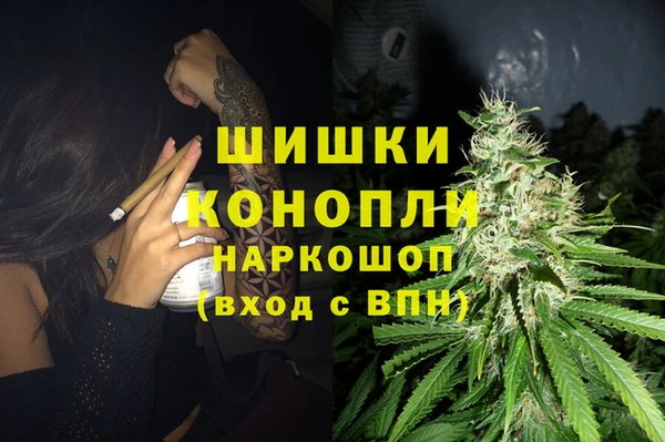 прущие грибы Абдулино