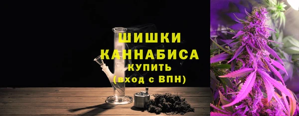прущие грибы Абдулино