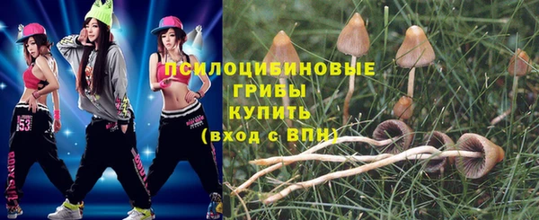 мескалин Пестово
