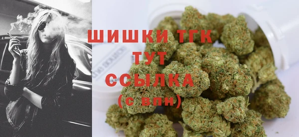 прущие грибы Абдулино